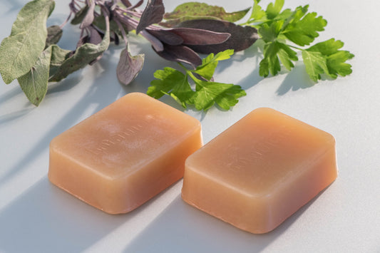 Deodorizing Treatment Soap (105g)