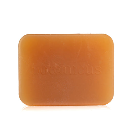Deodorizing Treatment Soap (105g)