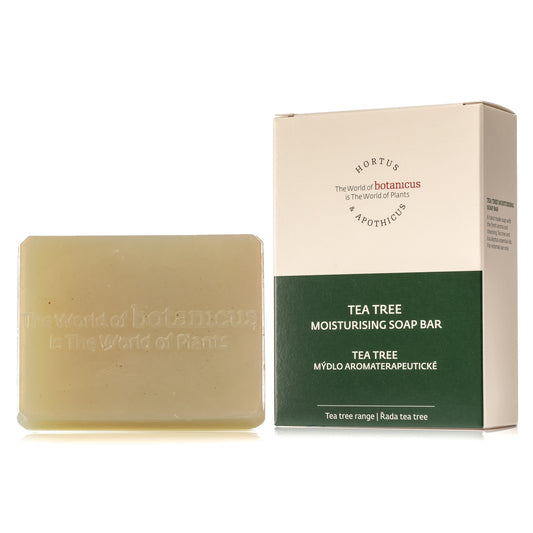 Tea Tree Moisturising Facial Soap for Oily Skin (2 pcs) (160g)