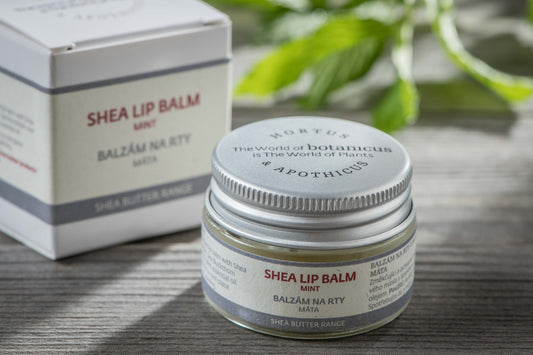 Shea Lip Balm - Mint (15g)